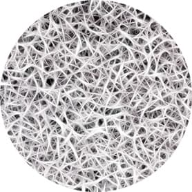 Extracellular matrix