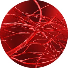 Tumor microenvironment